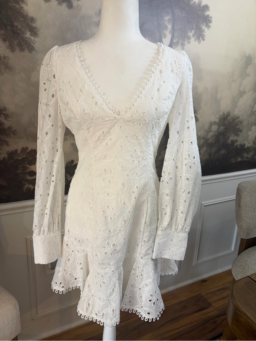 Princess Polly White Eyelet V-Neck Long Sleeve Mini Dress - Picture 3 of 12